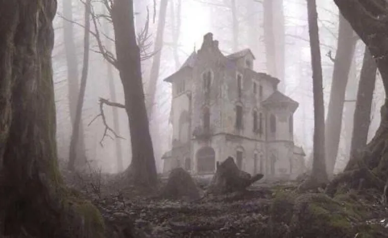 Od WC-&scaron;koljaka na granama do Winnie Pooh kućice: 20 najčudnijih stvari u &scaron;umama diljem svijeta