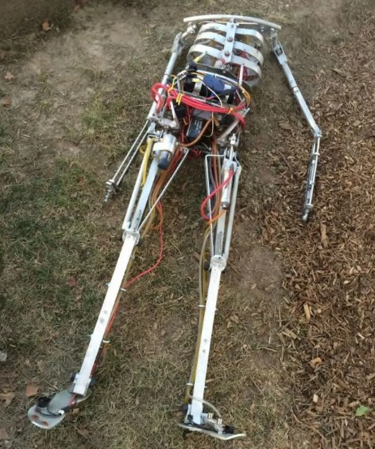 Od WC-&scaron;koljaka na granama do Winnie Pooh kućice: 20 najčudnijih stvari u &scaron;umama diljem svijeta