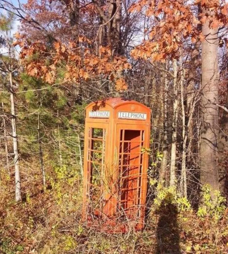 Od WC-&scaron;koljaka na granama do Winnie Pooh kućice: 20 najčudnijih stvari u &scaron;umama diljem svijeta