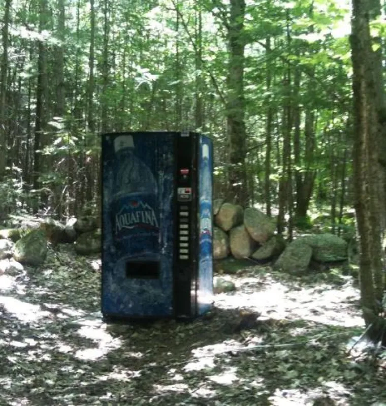 Od WC-&scaron;koljaka na granama do Winnie Pooh kućice: 20 najčudnijih stvari u &scaron;umama diljem svijeta