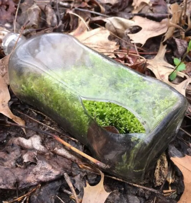 Od WC-&scaron;koljaka na granama do Winnie Pooh kućice: 20 najčudnijih stvari u &scaron;umama diljem svijeta