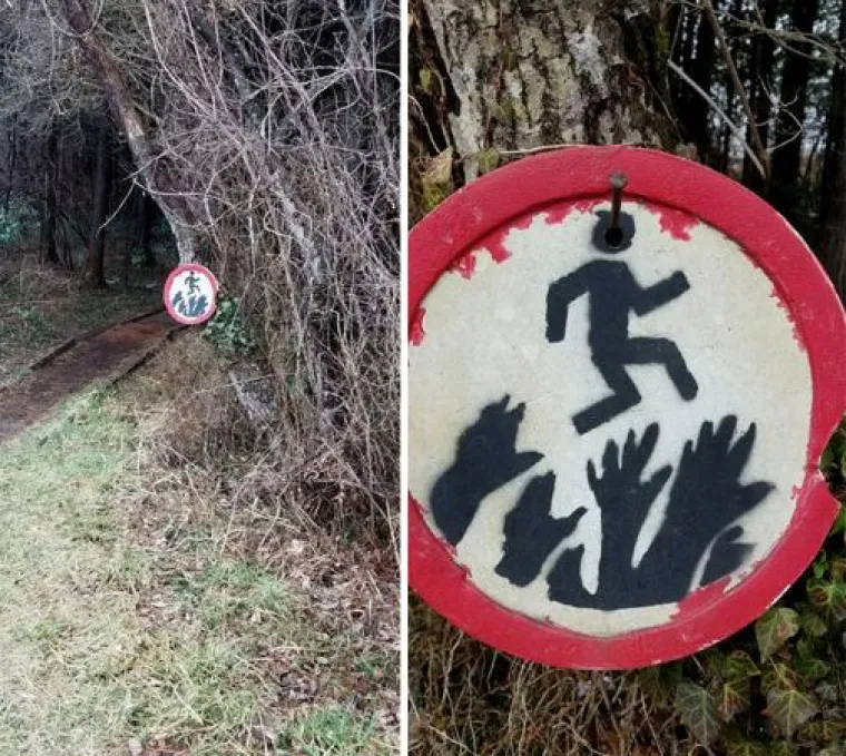 Od WC-&scaron;koljaka na granama do Winnie Pooh kućice: 20 najčudnijih stvari u &scaron;umama diljem svijeta