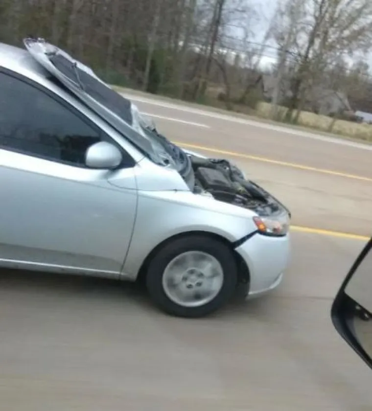 Babu&scaron;ka na tramvaju, zmija na suvozačkom: &Scaron;to sve nećemo vidjeti na cesti?