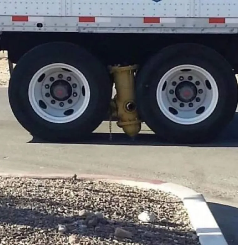 Babu&scaron;ka na tramvaju, zmija na suvozačkom: &Scaron;to sve nećemo vidjeti na cesti?