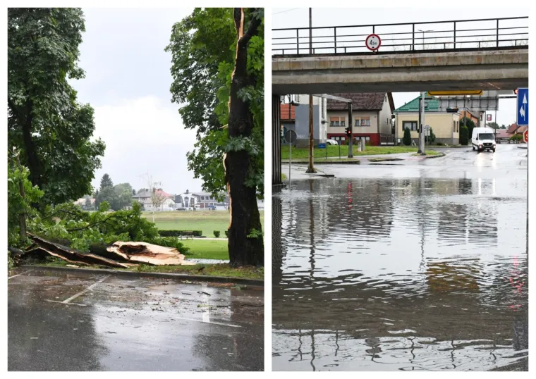 U Sisku olujno nevrijeme ru&scaron;ilo stabla