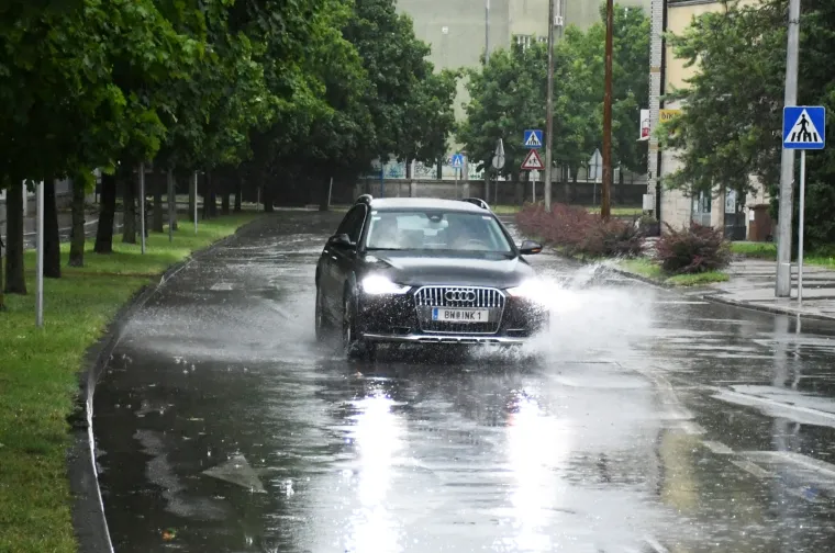 U Sisku olujno nevrijeme ru&scaron;ilo stabla