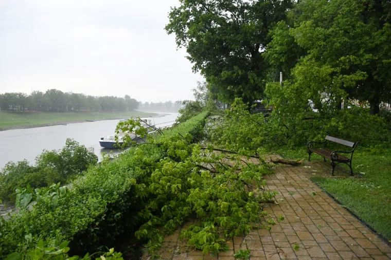 U Sisku olujno nevrijeme ru&scaron;ilo stabla