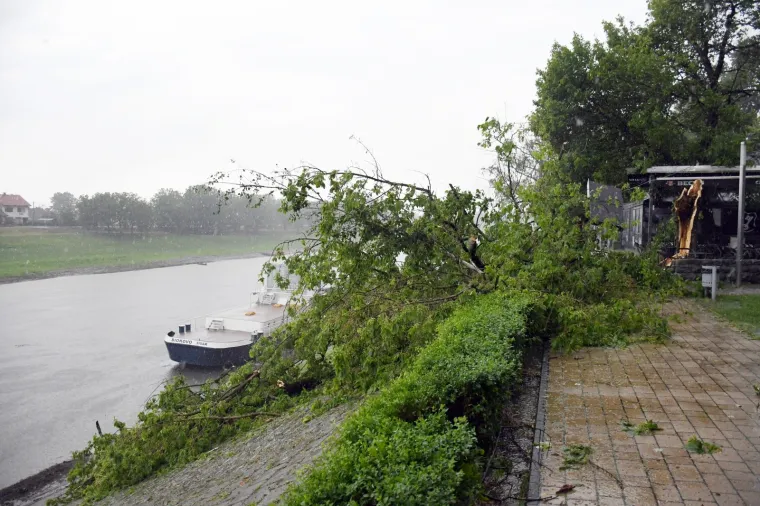 Foto: Nikola Ćutuk/PIXSELL