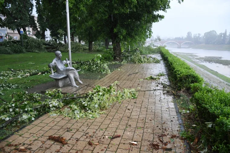 Foto: Nikola Ćutuk/PIXSELL