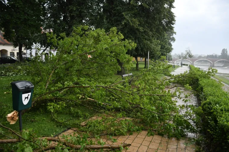 Foto: Nikola Ćutuk/PIXSELL