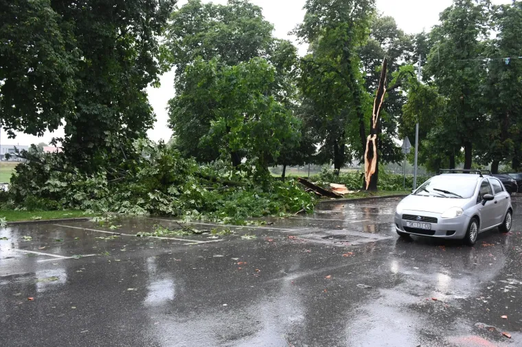 Foto: Nikola Ćutuk/PIXSELL