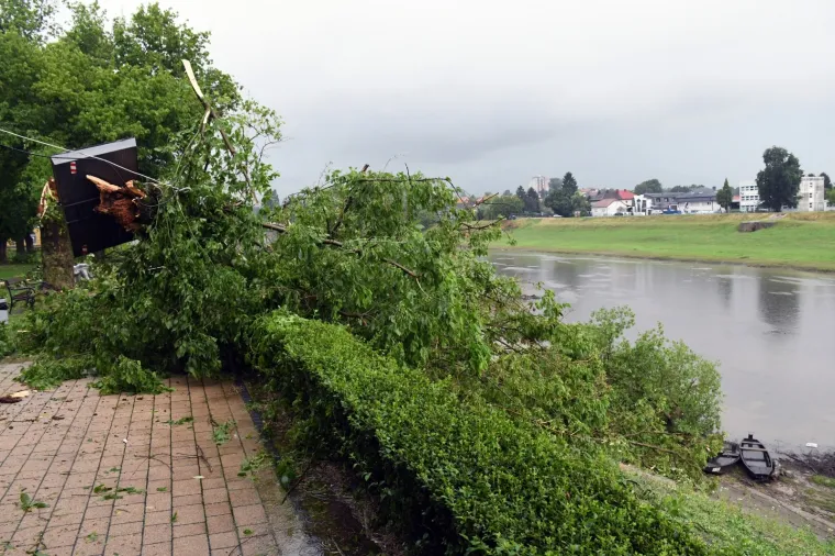 Foto: Nikola Ćutuk/PIXSELL