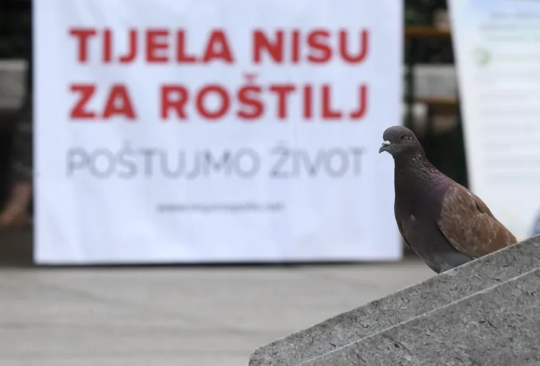 PRIJATELJI ŽIVOTINJA DIJELILI VEGANSKE BURGERE I KOBASICE NA TRGU: Pogledajte kako slasno izgledaju