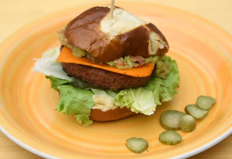 PRIJATELJI ŽIVOTINJA DIJELILI VEGANSKE BURGERE I KOBASICE NA TRGU: Pogledajte kako slasno izgledaju