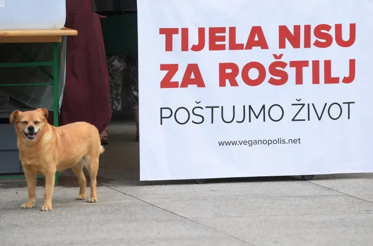 PRIJATELJI ŽIVOTINJA DIJELILI VEGANSKE BURGERE I KOBASICE NA TRGU: Pogledajte kako slasno izgledaju