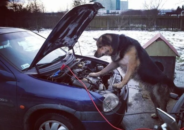 DOKAZ DA BANDIĆ IPAK NIJE NAJGORI GRADONAČELNIK: Ovdje toleriraju i puno gore propuste od raspadajućih mostova