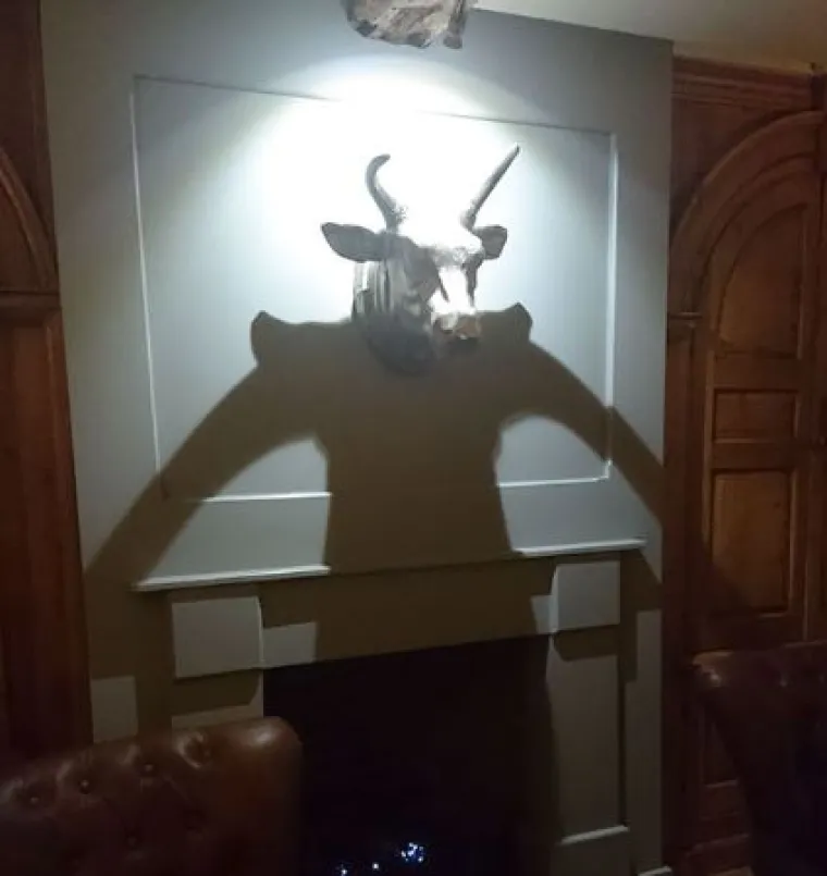 20 genijalnih sjena na fotografijama koje morate pogledati bar dvaput