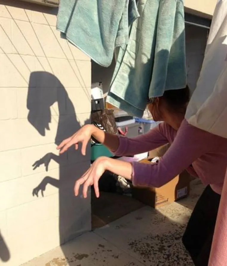 20 genijalnih sjena na fotografijama koje morate pogledati bar dvaput