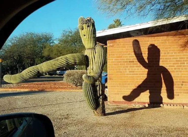 20 genijalnih sjena na fotografijama koje morate pogledati bar dvaput