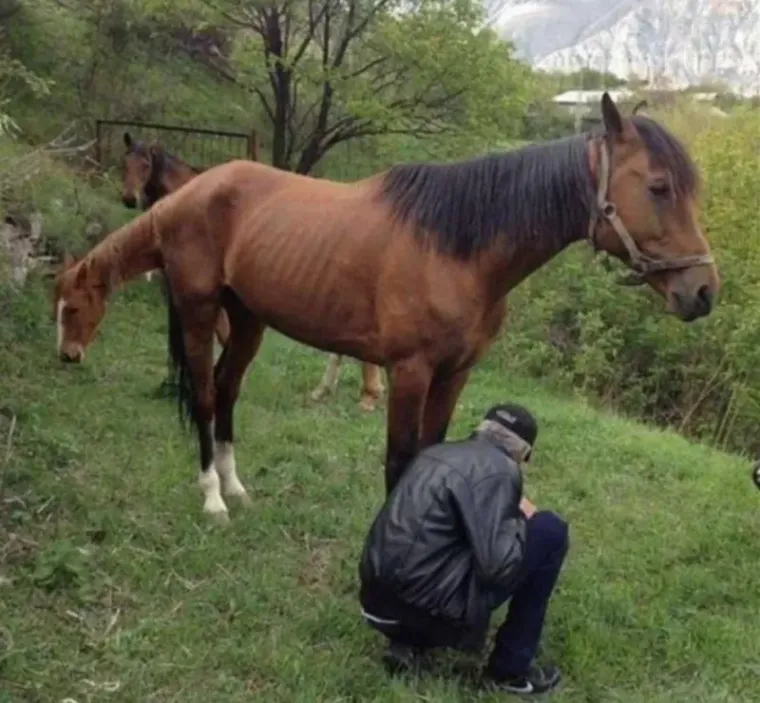 Najnejasnije optičke iluzije koje će vas natjerati da odete provjeriti vid