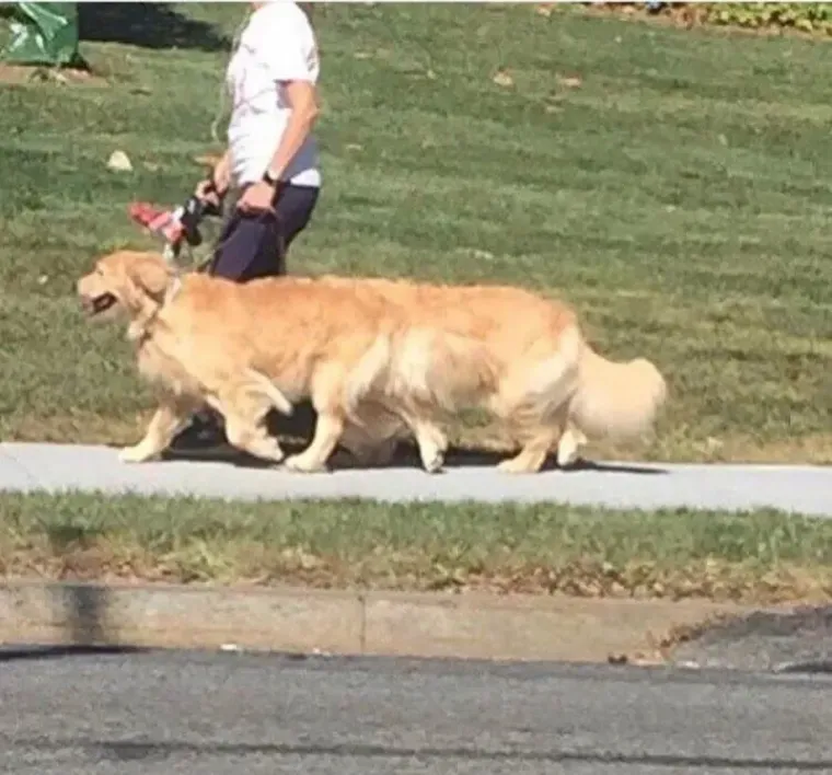 Najnejasnije optičke iluzije koje će vas natjerati da odete provjeriti vid