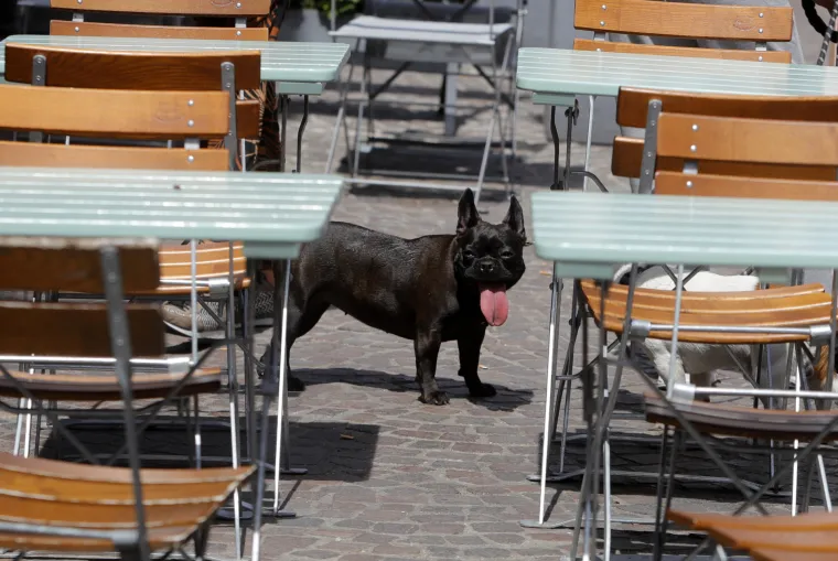 Temperature idu preko 40 Celzija: Pogledajte kako se Europljani nose s paklenim vrućinama