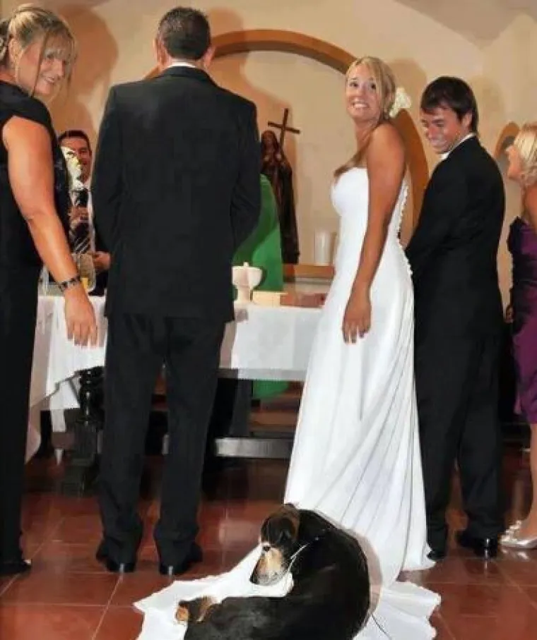 Za &scaron;to bolju uspomenu: TOP 20 slika s vjenčanja koje su genijalne jer ih je netko photobombao