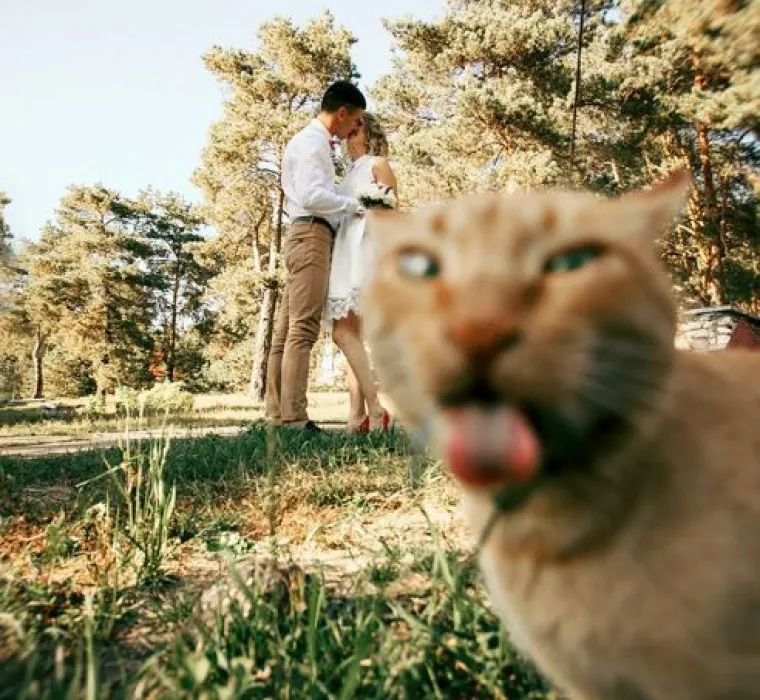 Za &scaron;to bolju uspomenu: TOP 20 slika s vjenčanja koje su genijalne jer ih je netko photobombao