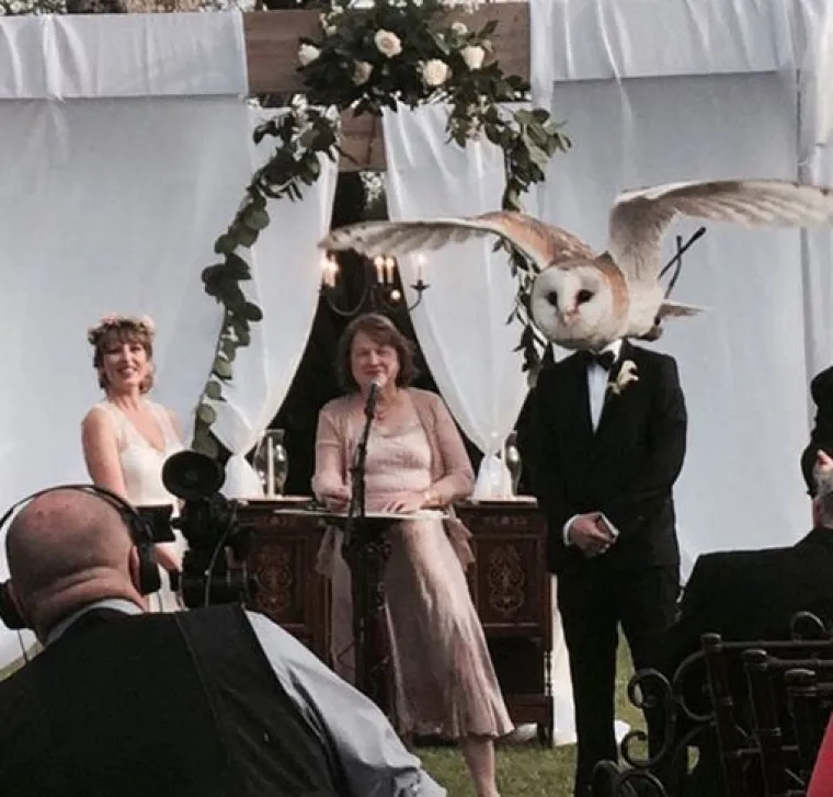 Za &scaron;to bolju uspomenu: TOP 20 slika s vjenčanja koje su genijalne jer ih je netko photobombao