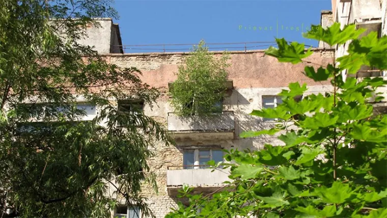 Zona otuđenosti u Černobilu: Upoznajte jednog od najvećih parkova prirode u Europi