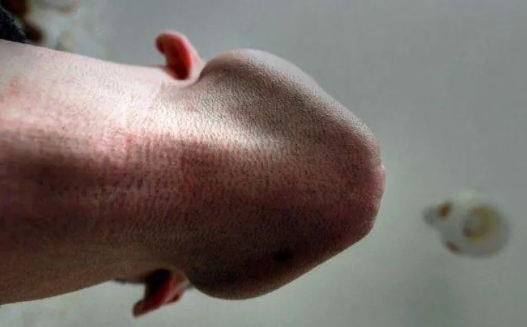 20 nevinih stvari koje i ne izgledaju ba&scaron; toliko nevino na prvi pogled