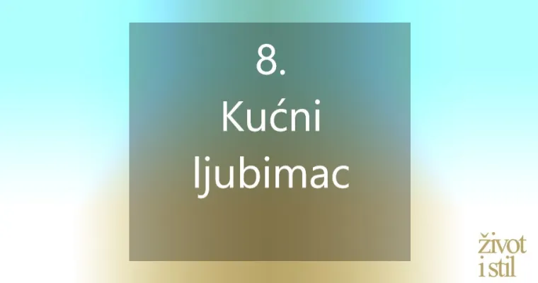 Udomite psa, radite od kuće i jo&scaron; &scaron;to&scaron;ta - ovo su stvari koje čine život boljim