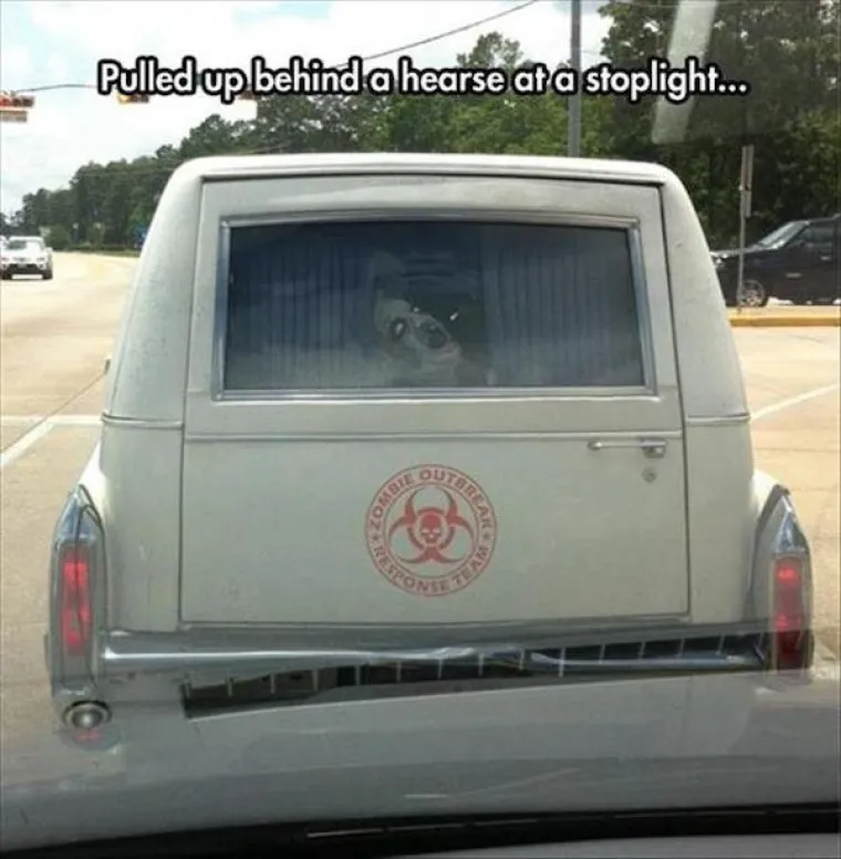 IMATE LI ČELIČNE ŽIVCE ILI STE KUKAVICA? Zavirite u galeriju koja će otkriti puno toga o vama