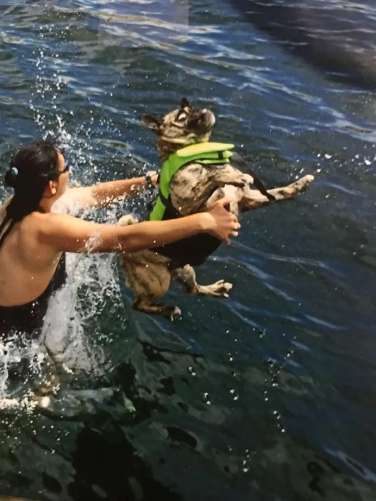 LJUDI SU POKAZALI NAJRUŽNIJE FOTOGRAFIJE SVOJIH LJUBIMACA: Rezultat je posve urnebesan