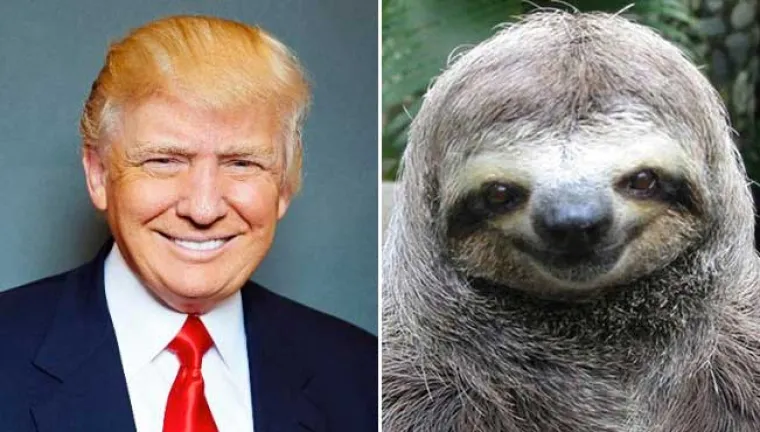 Hoće li se netko Trampiti za predsjednika? 16 stvari koje izgledaju isto kao Donald Trump