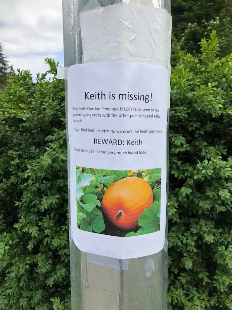 NIJE PHOTOSHOP, SAMO JE NEVJEROJATNO: Ovih deset slika pogledat ćete vi&scaron;e puta, jednostavno vam neće biti jasno