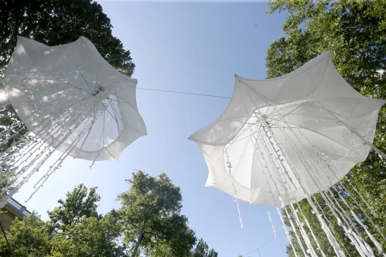 Meduze preplavile zagrebački Zrinjevac! Za&scaron;to?