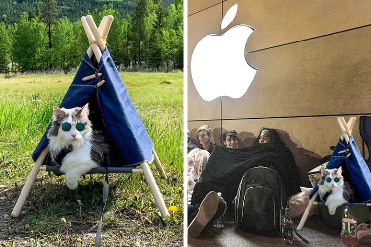 RUGANJE SA STILOM: Ove urnebesne fotobombe je ekipa na dru&scaron;tvenoj mreži proglasila najboljima ikad