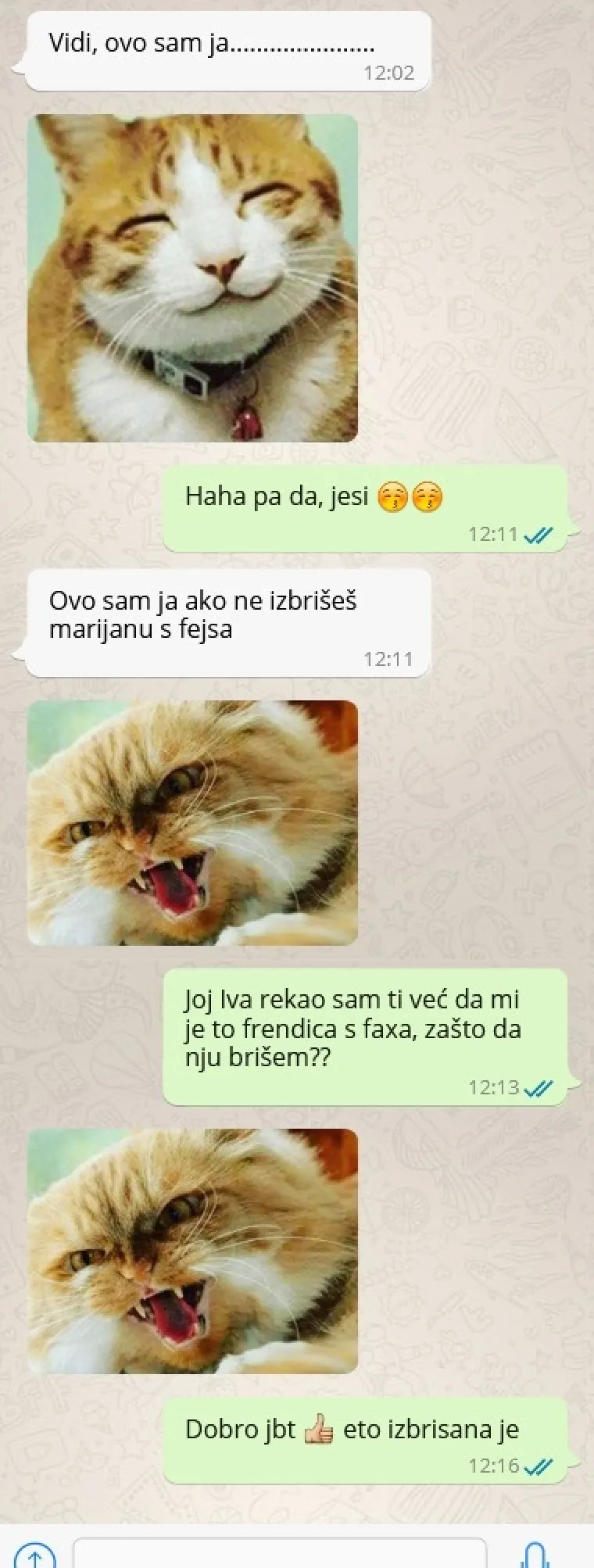 Urnebesne poruke zbog kojih su ljudi ubrzo požalili &scaron;to su ikada stisnuli 'Po&scaron;alji'