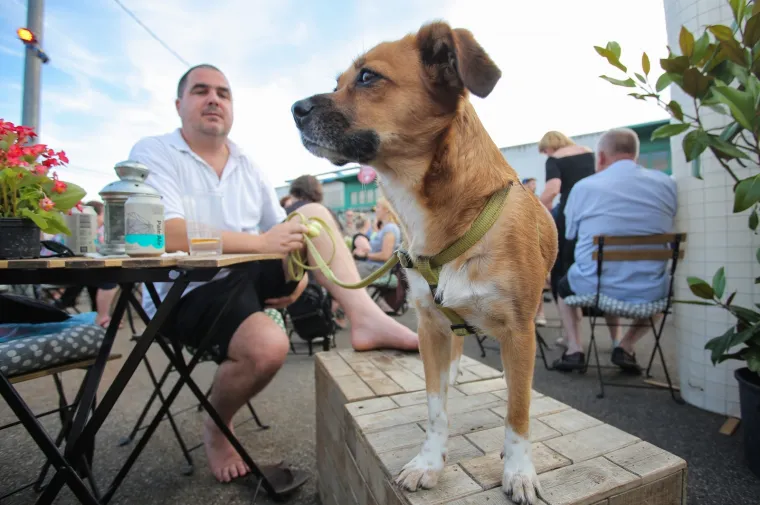 Ljeto na Tre&scaron;njevci: Zagriznite Plac Mljac pun dobrih vibracija i opu&scaron;tene zabave