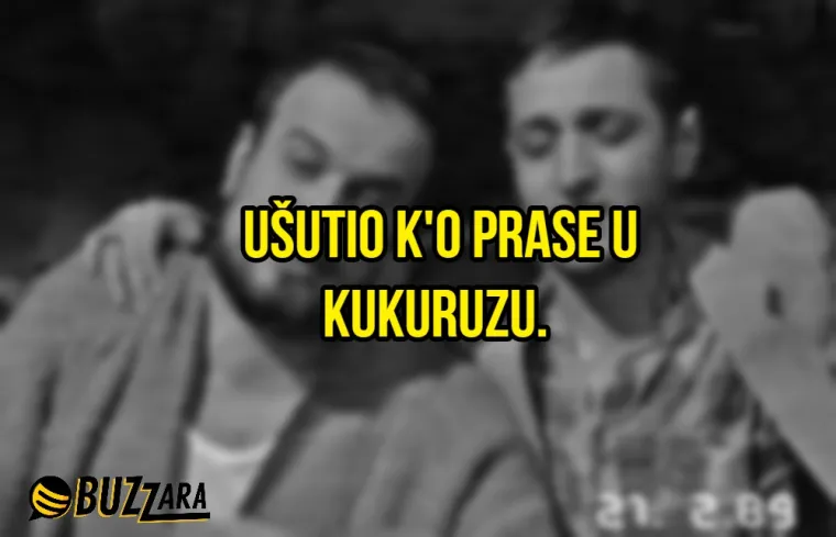 '&Scaron;ta stenje&scaron; k'o Jugo na uzbrdici': 25 najjačih narodnih usporedbi koje će vam sjesti k'o budali &scaron;amar
