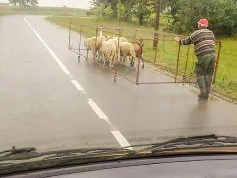 UZ DUŽNO POŠTOVANJE, NISU NORMALNI: Kad se ove ruke slože, može se samo poginuti. No, imali su sreće...
