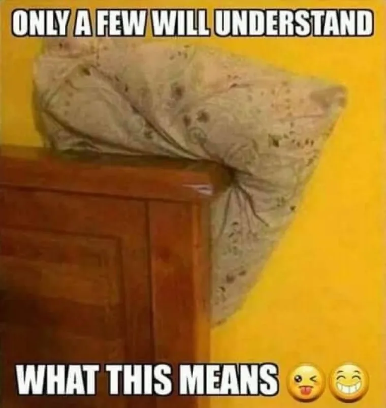 10 FOTKI KOJE ĆE SHVATITI SAMO ONI S PERVERZNOM MAŠTOM: Ajde, ajde, znate da ih želite nekome proslijediti