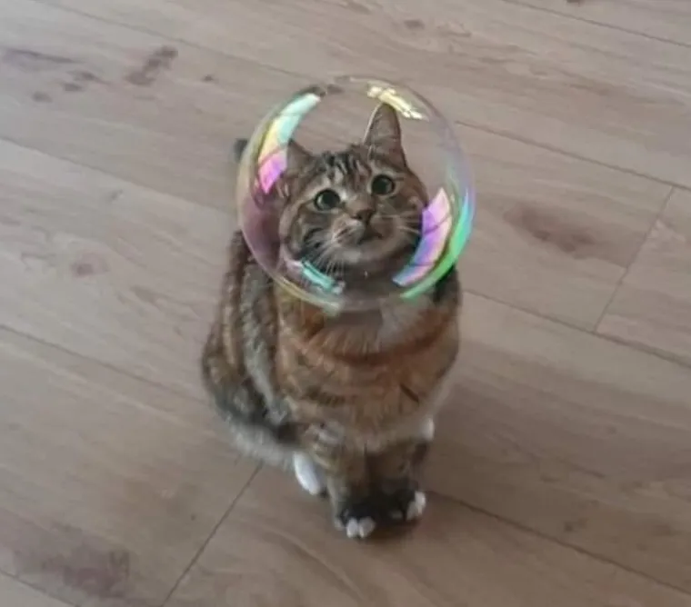 FOTOGRAFIJA NIKE KOVAČA UVR&Scaron;TENA U NAJIMPRESIVNIJE IKAD: Ovdje kao da je vrijeme stalo, savr&scaron;en tajming!