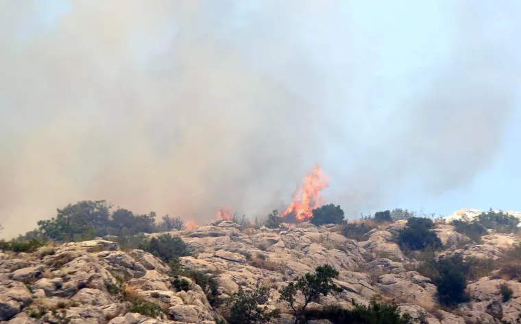 Lokaliziran požar kod Greba&scaron;tice: Vatra je zahvatila pet hektara &scaron;ume. Vatrogasci su jo&scaron; na terenu