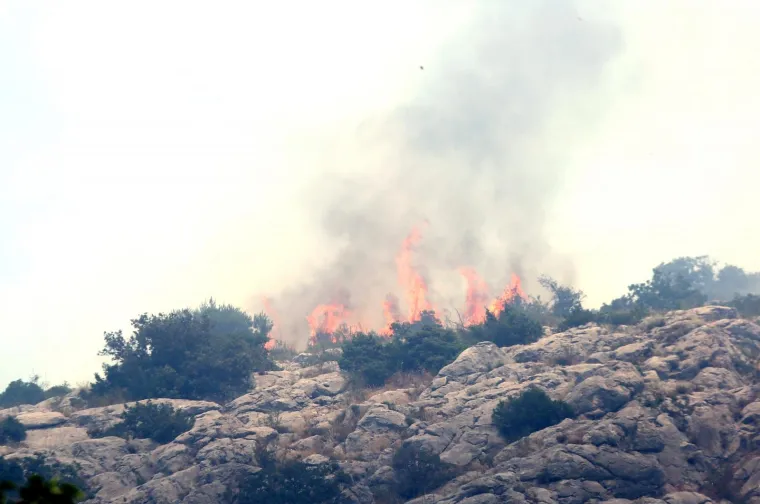 Lokaliziran požar kod Greba&scaron;tice: Vatra je zahvatila pet hektara &scaron;ume. Vatrogasci su jo&scaron; na terenu
