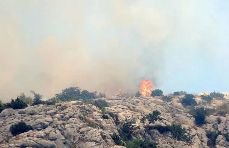 Lokaliziran požar kod Greba&scaron;tice: Vatra je zahvatila pet hektara &scaron;ume. Vatrogasci su jo&scaron; na terenu