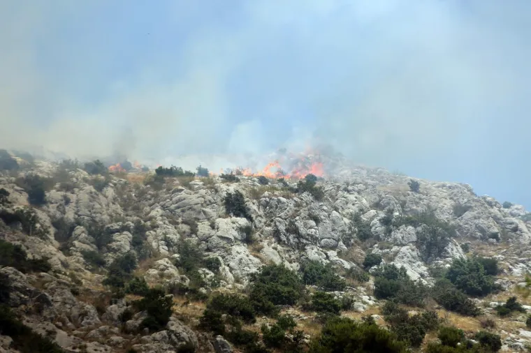 Lokaliziran požar kod Greba&scaron;tice: Vatra je zahvatila pet hektara &scaron;ume. Vatrogasci su jo&scaron; na terenu