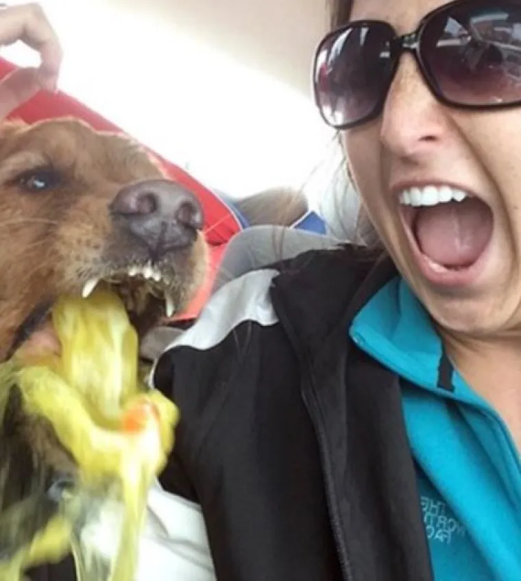 20 fotki uslikanih nekoliko sekundi prije katastrofe, samo gledanje u njih će vas boljeti!