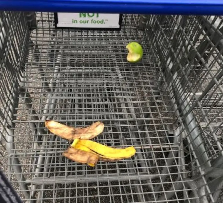 Onu staru: 'Perice, ljudi su svinje' dokazuje i ovih 15 fotografija prljavih sebičnjaka